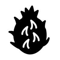 Drakfrukt